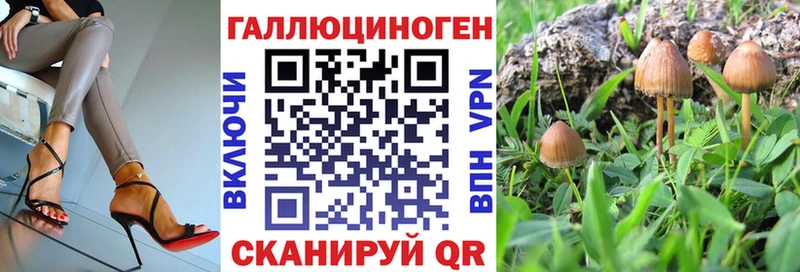 Галлюциногенные грибы MAGIC MUSHROOMS  где можно купить наркотик  Чулым 