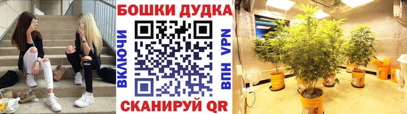 Каннабис планчик  mega ССЫЛКА  Чулым 